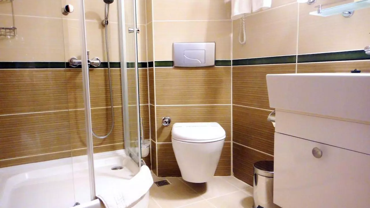 SESIN_SHABAVIZ (8).jpg